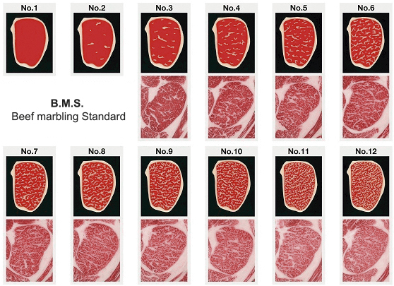 Razas y calificación de la carne Wagyu