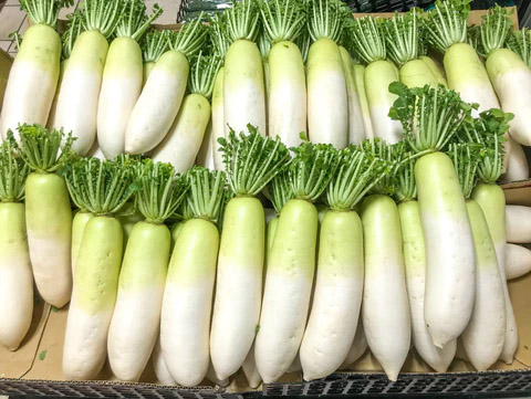 Daikon el rábano japonés esencial